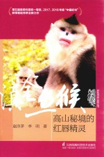 滇金丝猴  高山秘境的红唇精灵 封面