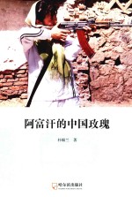 阿富汗的中国玫瑰 封面