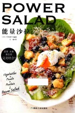 能量沙拉 封面
