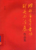 湖南省青年书协精英书法展作品集 封面