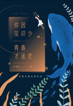 你因见识少  青春才迷茫 封面