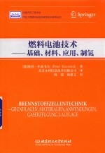 燃料电池技术  基础、材料、应用、制氢 封面