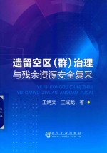 遗留空区（群）治理与残余资源安全复采 封面