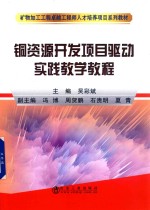 铜资源开发项目驱动实践教学教程 封面