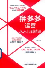 拼多多运营从入门到精通 封面