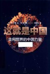 这就是中国  走向世界的中国力量 封面