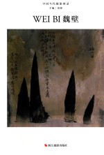 中国当代摄影图录  魏壁 封面