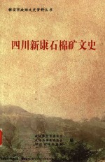 四川新康石棉矿文史 封面