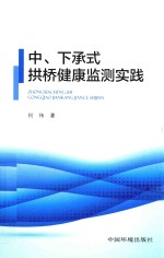 中、下承式拱桥健康监测实践 封面