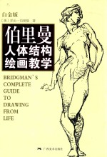 伯里曼人体结构绘画教学  白金版 封面