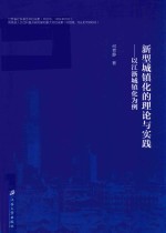 新型城镇化的理论与实践 封面