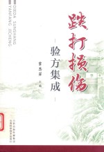 跌打损伤验方集成 封面