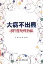 大病不出县标杆医院经验集 封面