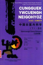 中国壮医内科学  下  各论  壮汉双语 封面
