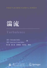 湍流 封面
