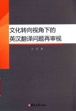 文化转向视角下的英汉翻译问题再审视 封面