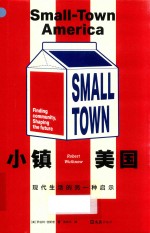 小镇美国  现代生活的另一种启示 封面