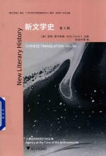 新文学史 封面
