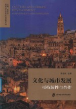 文化与城市发展 封面