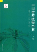 中国畲药植物图鉴  下 封面