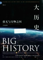 大历史  虚无与万物之间  全彩插图版 封面