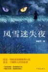 风雪迷失夜 封面
