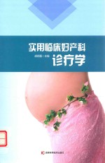 实用临床妇产科诊疗学 封面
