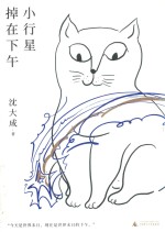 小行星掉在下午 封面