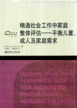 精通社会工作中家庭整体评估 封面