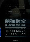 商标诉讼热点问题实务评析 封面