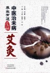 中医治未病养生有道全图解  艾灸 封面