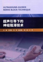 超声引导下的神经阻滞技术 封面