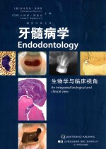 牙髓病学  生物学与临床视角 封面