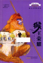 动物小说大王沈石溪  野生动物救助站  猴王荣耀 封面