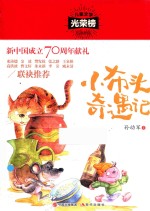 儿童文学光荣榜  小布头奇遇记 封面