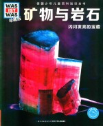 德国少年儿童百科知识全书  矿物与岩石  闪闪发亮的宝藏  珍藏版 封面