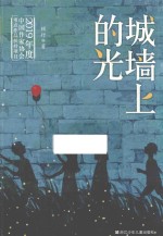 城墙上的光 封面