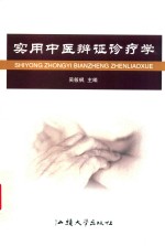 实用中医辨证诊疗学 封面