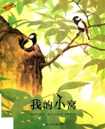 我的小窝 封面