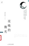 夜晚的微光 封面