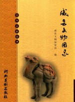 威县文物图录 封面