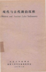 现代与古代湖泊沉积 电子书封面