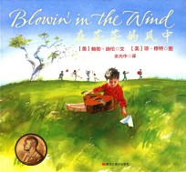 在茫茫的风中 封面