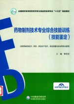 药物制剂技术专业综合技能训练 封面