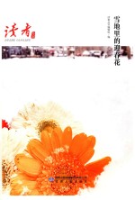 雪地里的迎春花 封面