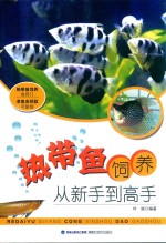 热带鱼饲养从新手到高手 封面