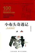 百年百部中国儿童文学经典书系  小布头奇遇记  精装典藏版 封面