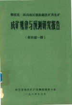 攀枝花-西昌地区钒钛磁铁矿共生矿：成矿规律与预测研究报告（附件第1册） 封面