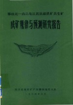 攀枝花-西昌地区钒钛磁铁矿共生矿成矿规律与预测研究报告 封面