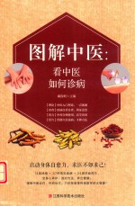 图解中医  看中医如何诊病 封面